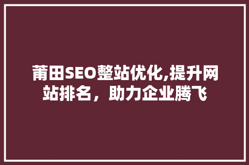 莆田SEO整站优化,提升网站排名，助力企业腾飞
