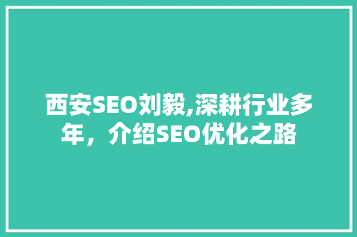 西安SEO刘毅,深耕行业多年，介绍SEO优化之路
