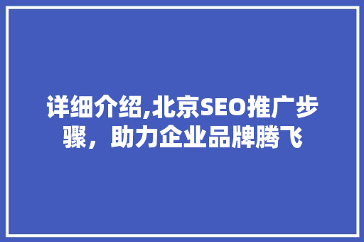 详细介绍,北京SEO推广步骤，助力企业品牌腾飞