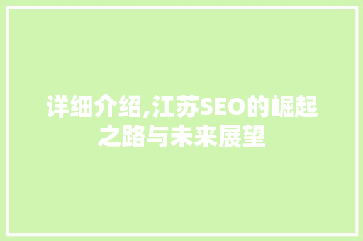 详细介绍,江苏SEO的崛起之路与未来展望