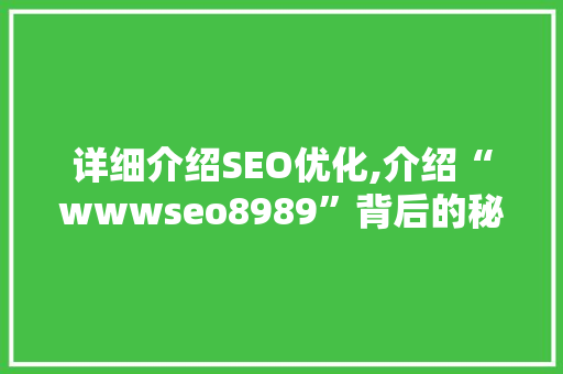 详细介绍SEO优化,介绍“wwwseo8989”背后的秘密