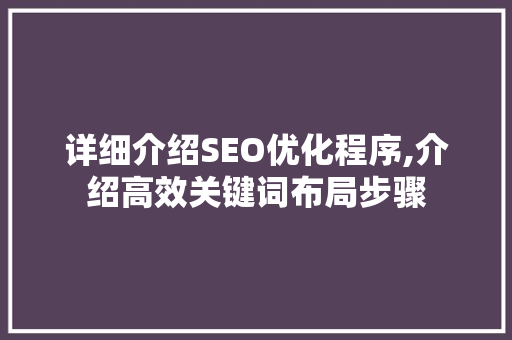 详细介绍SEO优化程序,介绍高效关键词布局步骤