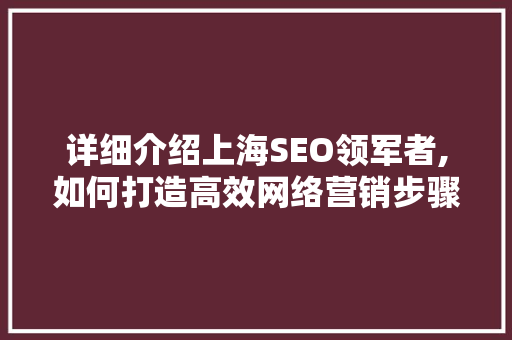 详细介绍上海SEO领军者,如何打造高效网络营销步骤