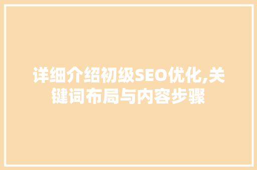 详细介绍初级SEO优化,关键词布局与内容步骤