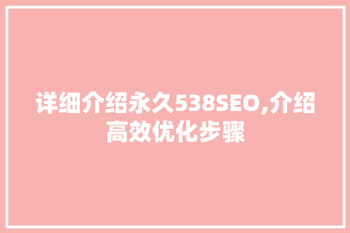 详细介绍永久538SEO,介绍高效优化步骤