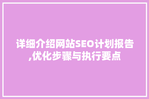 详细介绍网站SEO计划报告,优化步骤与执行要点