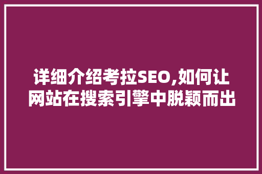 详细介绍考拉SEO,如何让网站在搜索引擎中脱颖而出