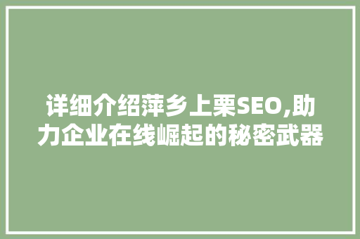 详细介绍萍乡上栗SEO,助力企业在线崛起的秘密武器  第1张
