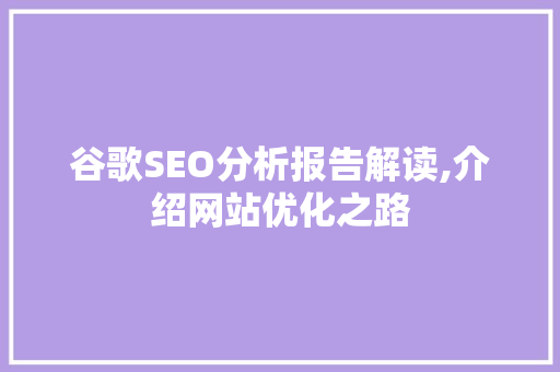 谷歌SEO分析报告解读,介绍网站优化之路
