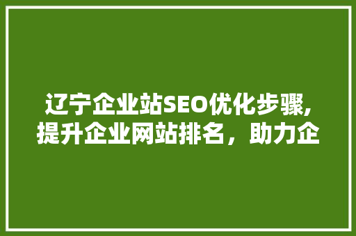 辽宁企业站SEO优化步骤,提升企业网站排名，助力企业腾飞
