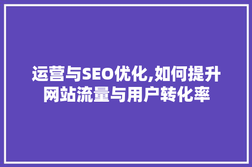 运营与SEO优化,如何提升网站流量与用户转化率