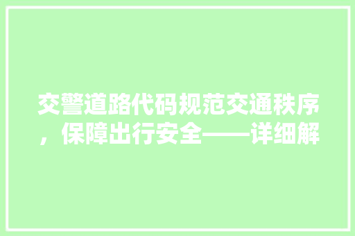 交警道路代码规范交通秩序，保障出行安全——详细解读交通管理的智慧钥匙
