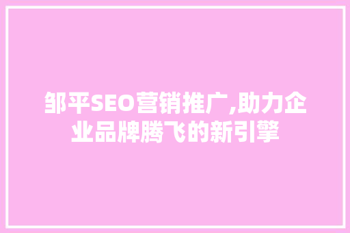 邹平SEO营销推广,助力企业品牌腾飞的新引擎