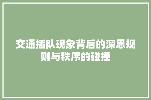 交通插队现象背后的深思规则与秩序的碰撞