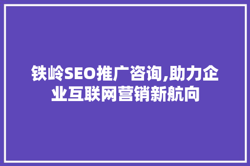 铁岭SEO推广咨询,助力企业互联网营销新航向
