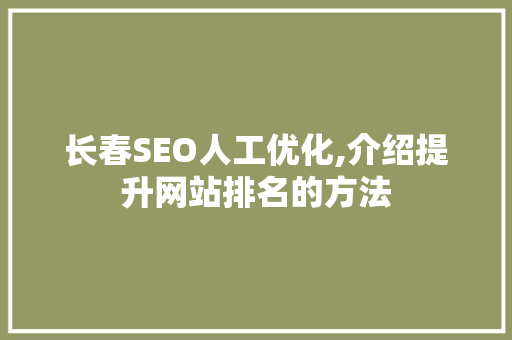 长春SEO人工优化,介绍提升网站排名的方法