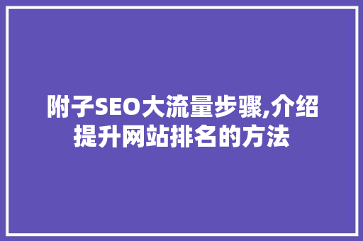 附子SEO大流量步骤,介绍提升网站排名的方法