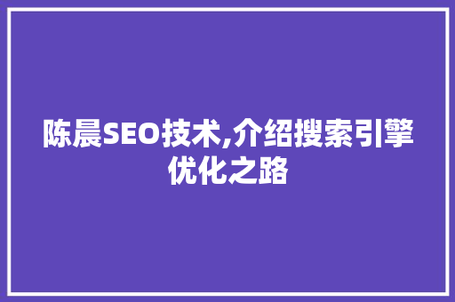 陈晨SEO技术,介绍搜索引擎优化之路