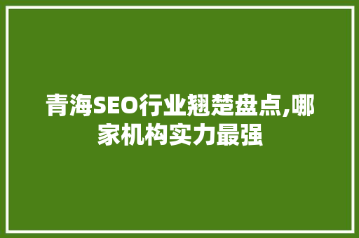 青海SEO行业翘楚盘点,哪家机构实力最强