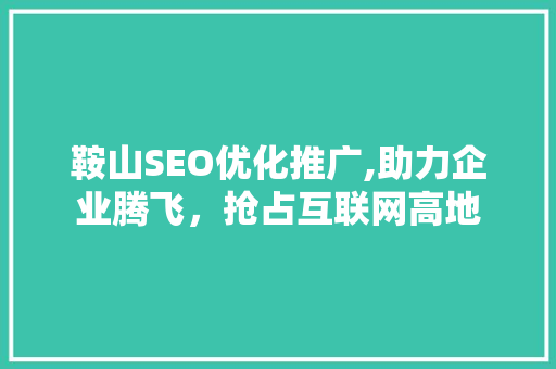 鞍山SEO优化推广,助力企业腾飞，抢占互联网高地