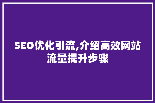 SEO优化引流,介绍高效网站流量提升步骤