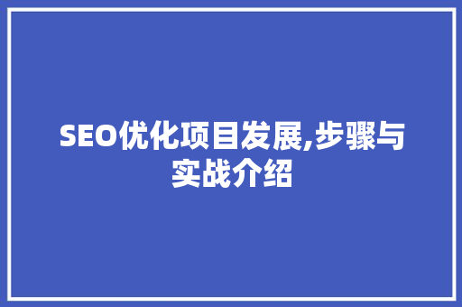 SEO优化项目发展,步骤与实战介绍