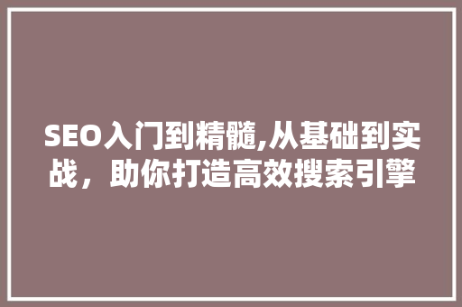 SEO入门到精髓,从基础到实战，助你打造高效搜索引擎优化步骤