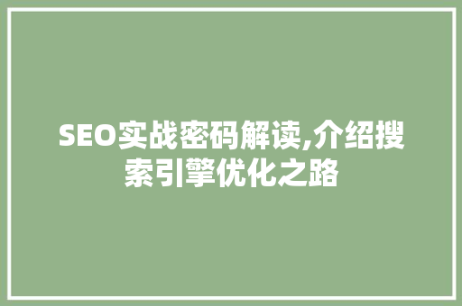 SEO实战密码解读,介绍搜索引擎优化之路