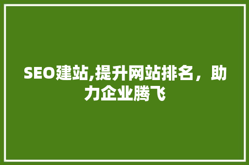 SEO建站,提升网站排名，助力企业腾飞
