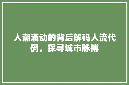 人潮涌动的背后解码人流代码，探寻城市脉搏