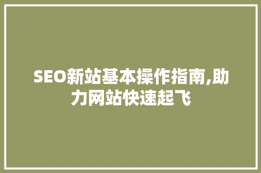 SEO新站基本操作指南,助力网站快速起飞