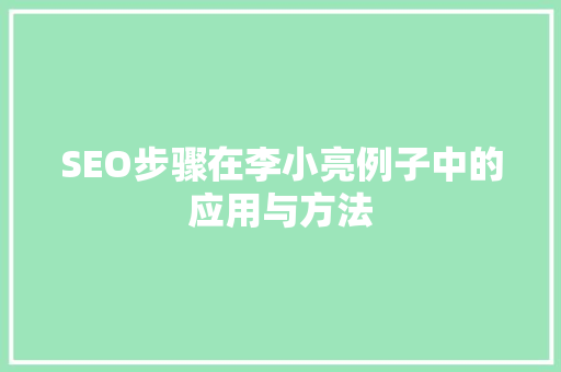 SEO步骤在李小亮例子中的应用与方法