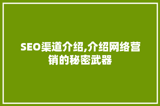 SEO渠道介绍,介绍网络营销的秘密武器
