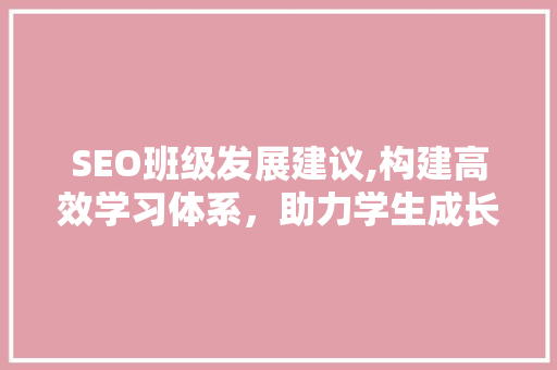 SEO班级发展建议,构建高效学习体系，助力学生成长