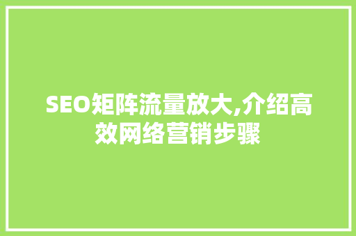 SEO矩阵流量放大,介绍高效网络营销步骤