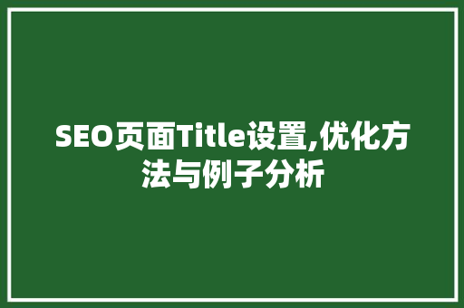 SEO页面Title设置,优化方法与例子分析