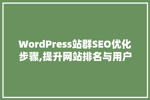 WordPress站群SEO优化步骤,提升网站排名与用户体验