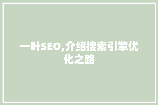 一叶SEO,介绍搜索引擎优化之路