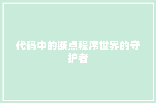 代码中的断点程序世界的守护者