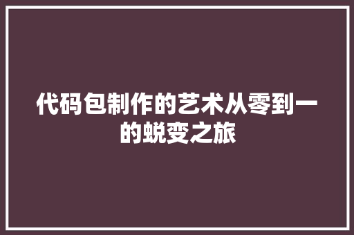 代码包制作的艺术从零到一的蜕变之旅