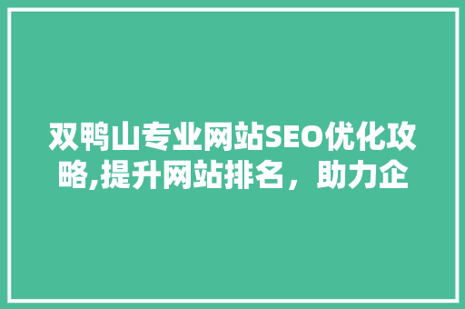 双鸭山专业网站SEO优化攻略,提升网站排名，助力企业腾飞