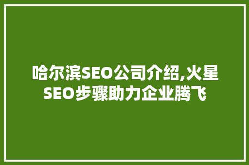 哈尔滨SEO公司介绍,火星SEO步骤助力企业腾飞