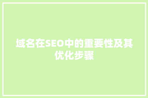 域名在SEO中的重要性及其优化步骤