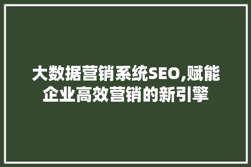 大数据营销系统SEO,赋能企业高效营销的新引擎