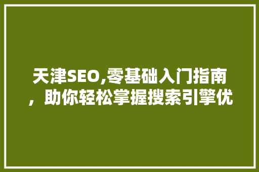 天津SEO,零基础入门指南，助你轻松掌握搜索引擎优化方法