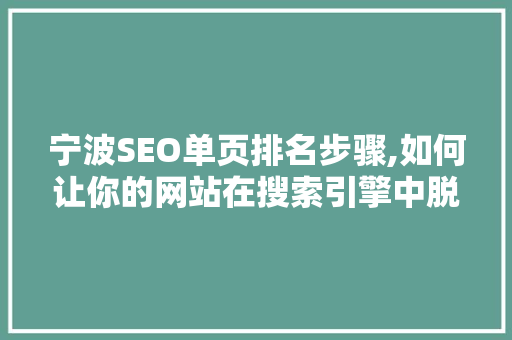 宁波SEO单页排名步骤,如何让你的网站在搜索引擎中脱颖而出