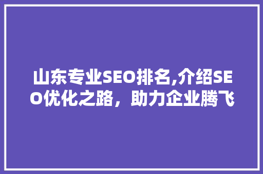 山东专业SEO排名,介绍SEO优化之路，助力企业腾飞