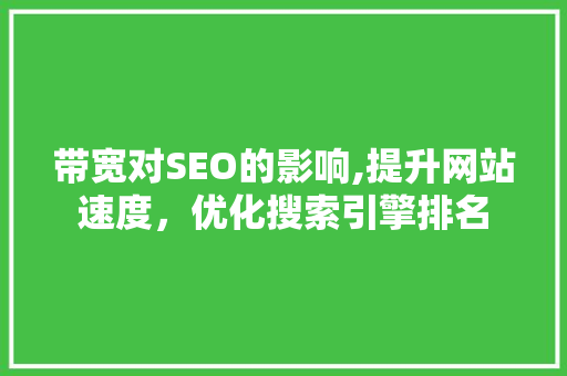 带宽对SEO的影响,提升网站速度，优化搜索引擎排名