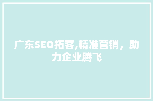 广东SEO拓客,精准营销，助力企业腾飞