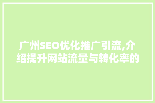广州SEO优化推广引流,介绍提升网站流量与转化率的方法